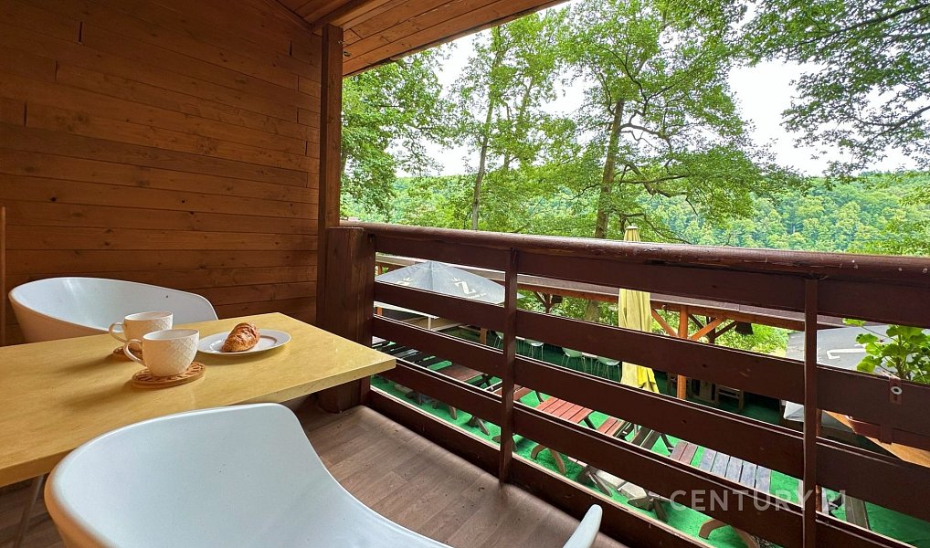 Prodej ubytovacího objektu 350 m², Bítov – náhled fotky 18