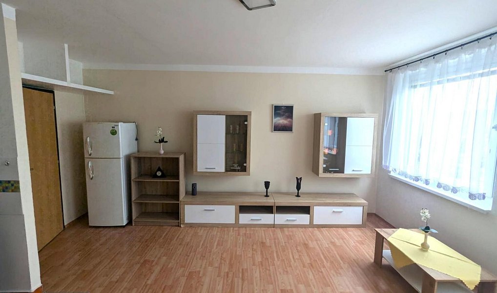 Pronájem bytu 1+kk 32 m², Ústí nad Labem – náhled fotky 3
