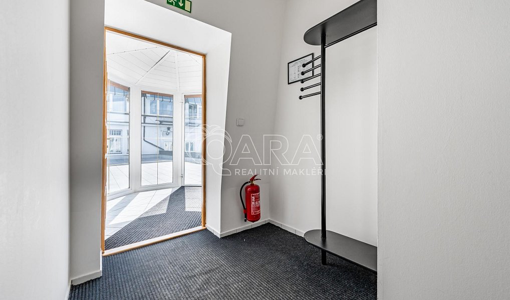 Pronájem bytu 5+kk 184 m², Praha – náhled fotky 18