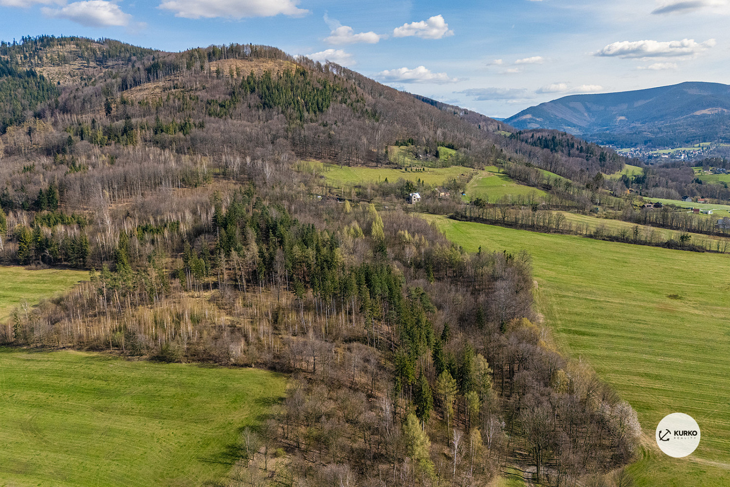 Prodej lesa 20 736 m² – fotografie 3