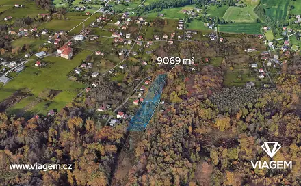 Prodej lesa 9 069 m², Rychvald, okres Karviná