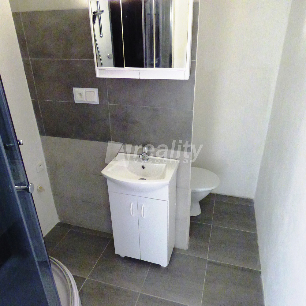 Pronájem bytu 1+1 35 m² – fotografie 4