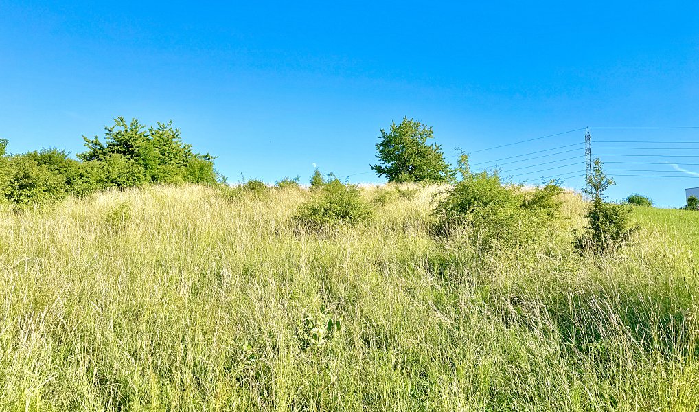 Prodej stavebního pozemku 1 516 m², Sendražice – náhled fotky 6