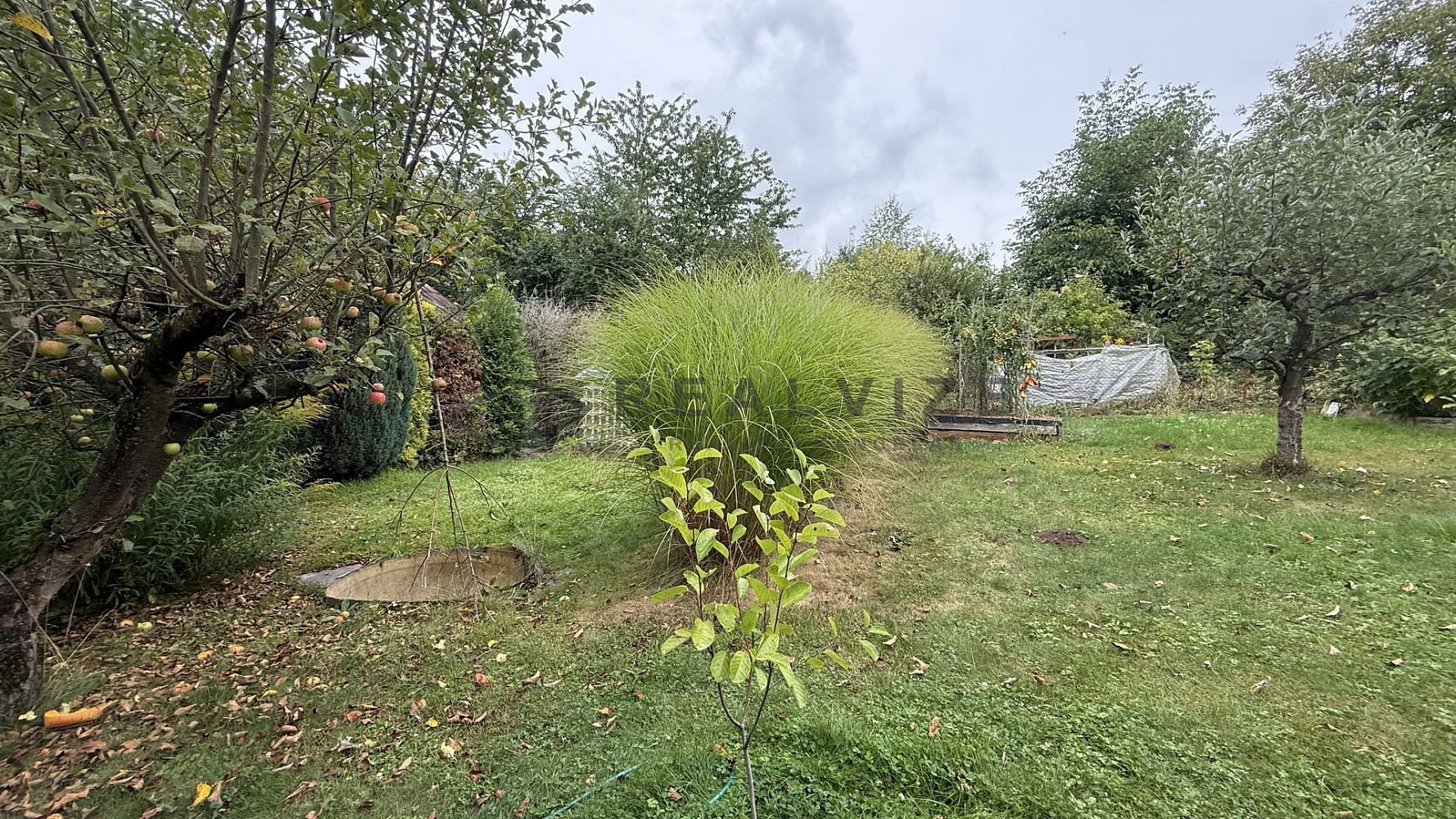 Fotka 6 z 11