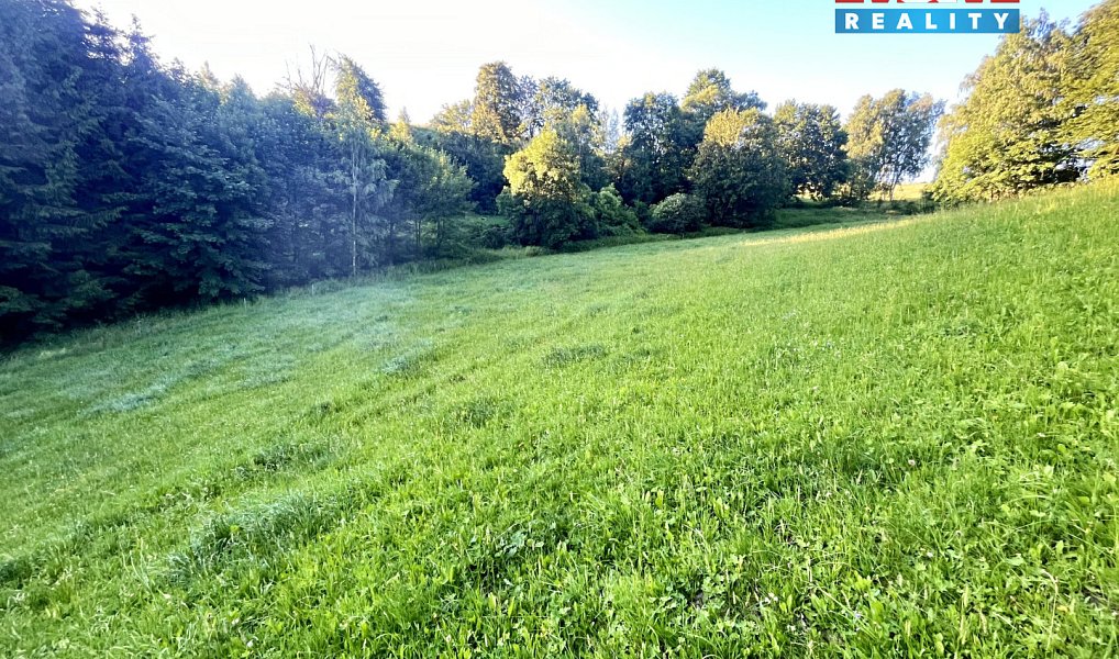 Prodej louky 5 449 m², Teplice nad Metují – náhled fotky 17