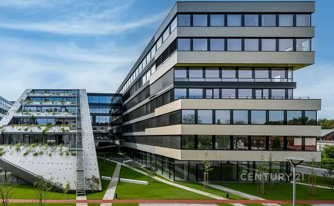 Pronájem kanceláře 250 m²