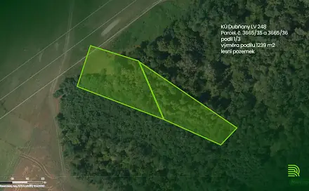 Prodej lesa 1 239 m², Dubňany, okres Hodonín