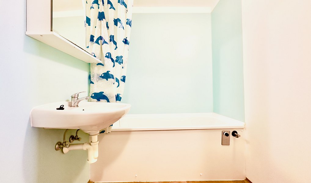 Pronájem bytu 3+1 73 m², Vlachovo Březí – náhled fotky 6