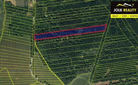 Prodej lesa 13 182 m², Vršovice, okres Opava