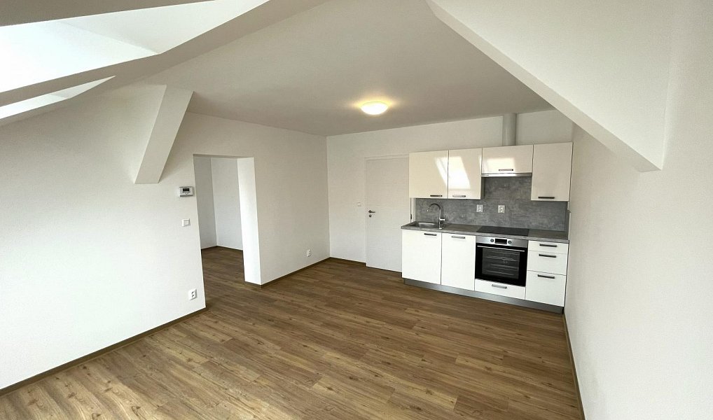 Pronájem bytu 2+kk 48 m², Plzeň – náhled fotky 3