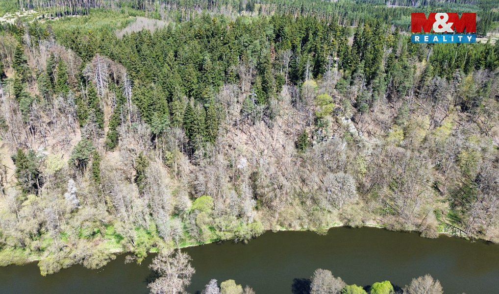 Prodej lesa 39 640 m², Řepeč – náhled fotky 4