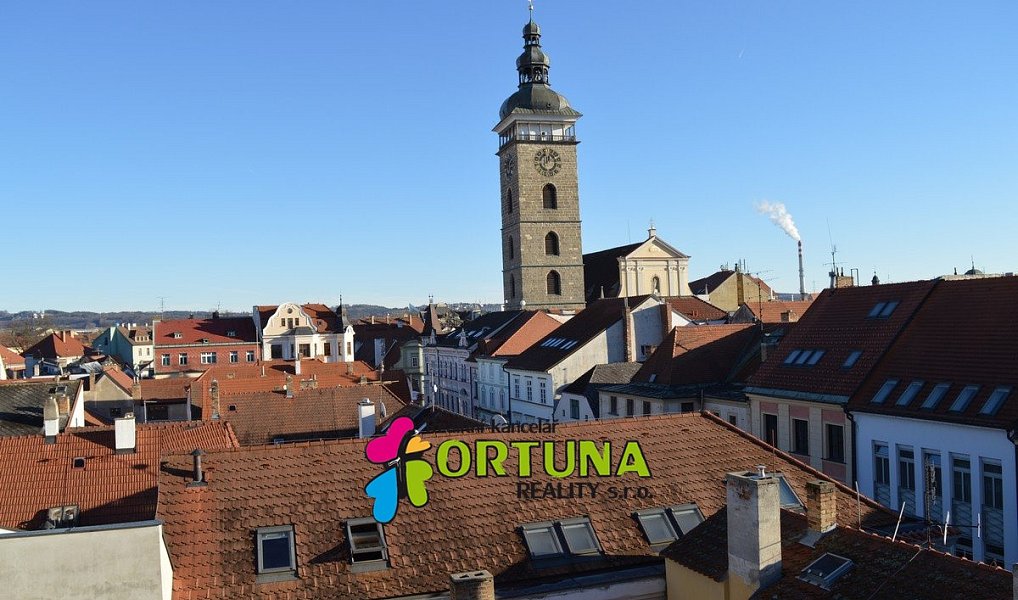 Prodej obchodních prostor 1 563 m², České Budějovice – náhled fotky 13