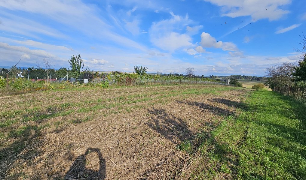 Prodej stavebního pozemku 2 691 m², Skoronice – náhled fotky 7