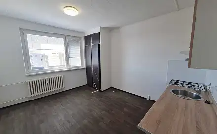 Pronájem bytu 1+1 39 m²