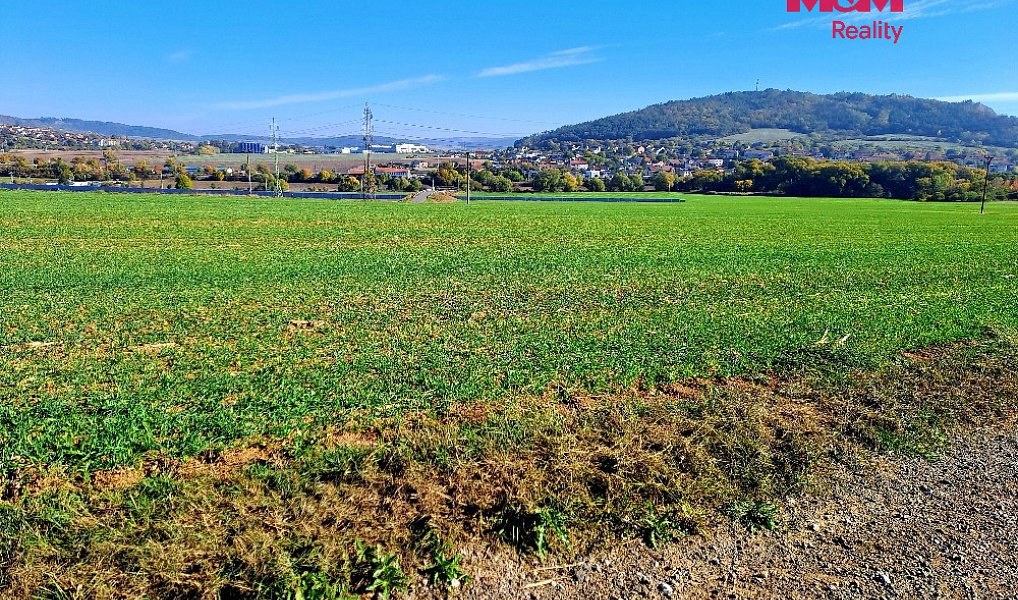 Prodej pole 24 461 m², Sentice – náhled fotky 4