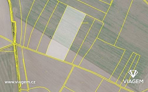 Prodej pole 5 355 m², Jíkev, okres Nymburk