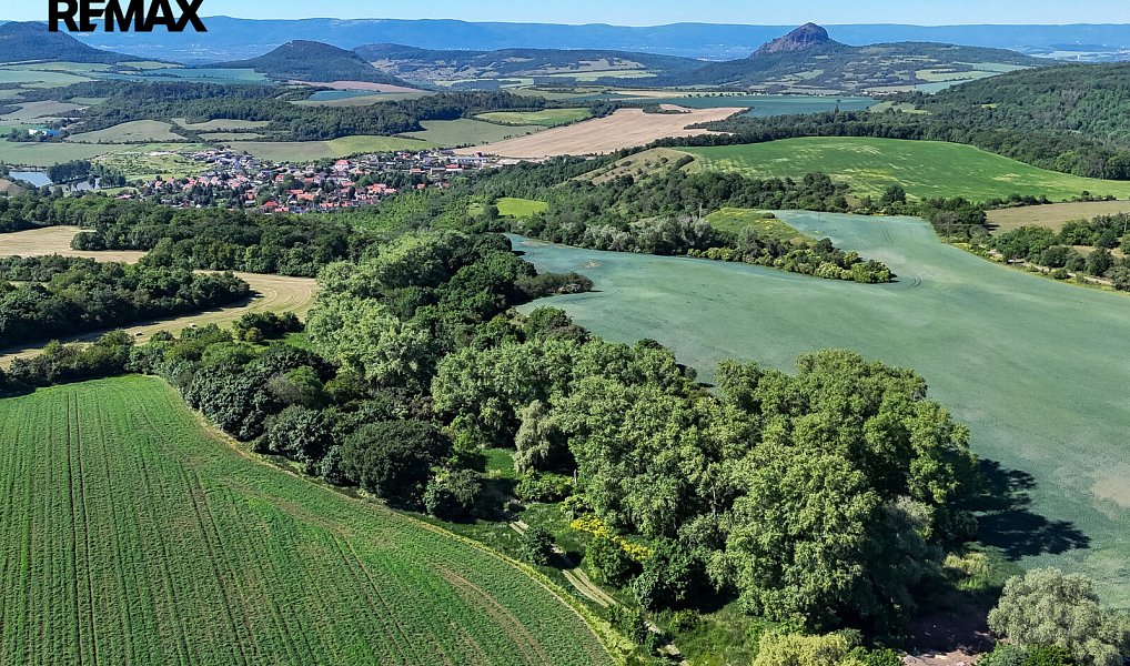 Prodej lesa 5 841 m², Skršín – náhled fotky 4