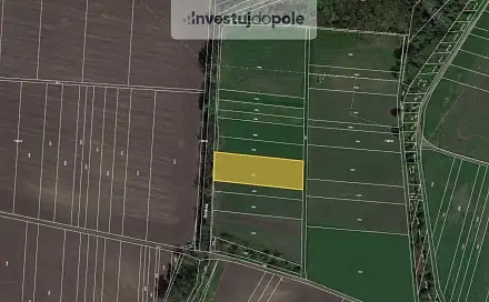 Prodej pole 2 963 m², Sokolnice, okres Brno-venkov
