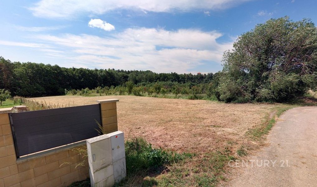 Prodej stavebního pozemku 3 256 m², Olšany – náhled fotky 5