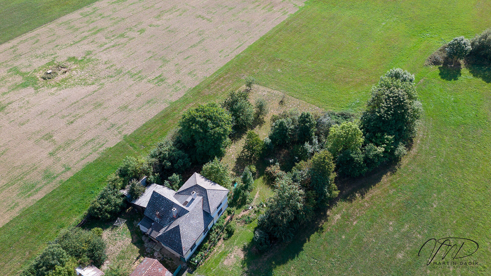 Fotka 11 z 12