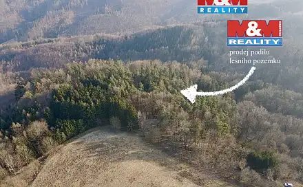 Prodej lesa 81 768 m², Městečko Trnávka - Stará Roveň, okres Svitavy
