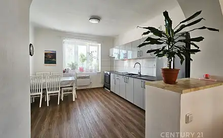 Prodej komerčního objektu (jiného typu) 472 m², Komenského, Chropyně, okres Kroměříž