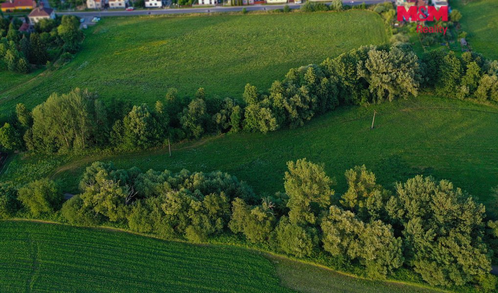 Prodej louky 4 590 m², Horní Bříza – náhled fotky 18