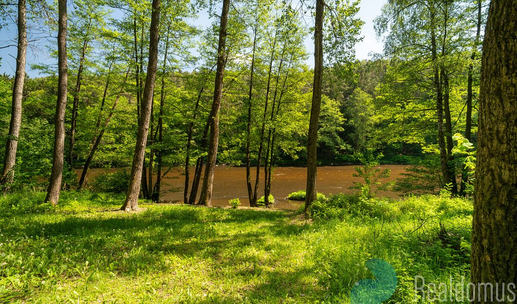 Prodej chaty/chalupy 44 m² s pozemkem 658 m², Boršov nad Vltavou – náhled fotky 13