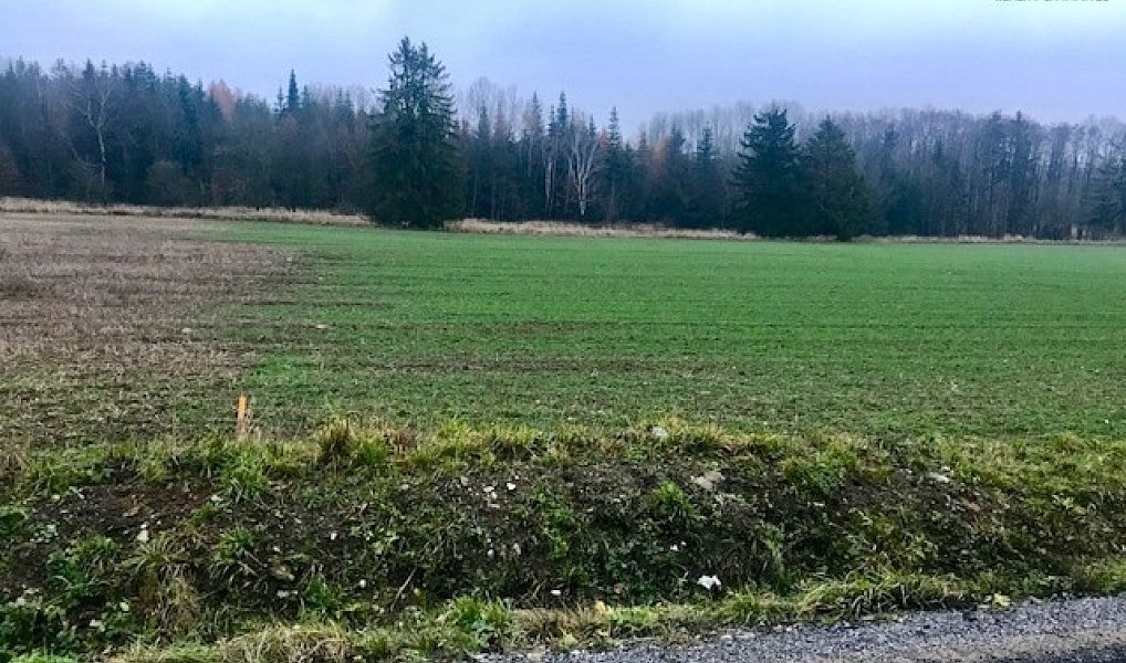 Prodej komerčního pozemku 1 354 m², Želetava – náhled fotky 8