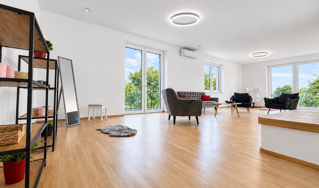 Prodej domu 408 m² s pozemkem 923 m², Pohořelice – náhled fotky 4