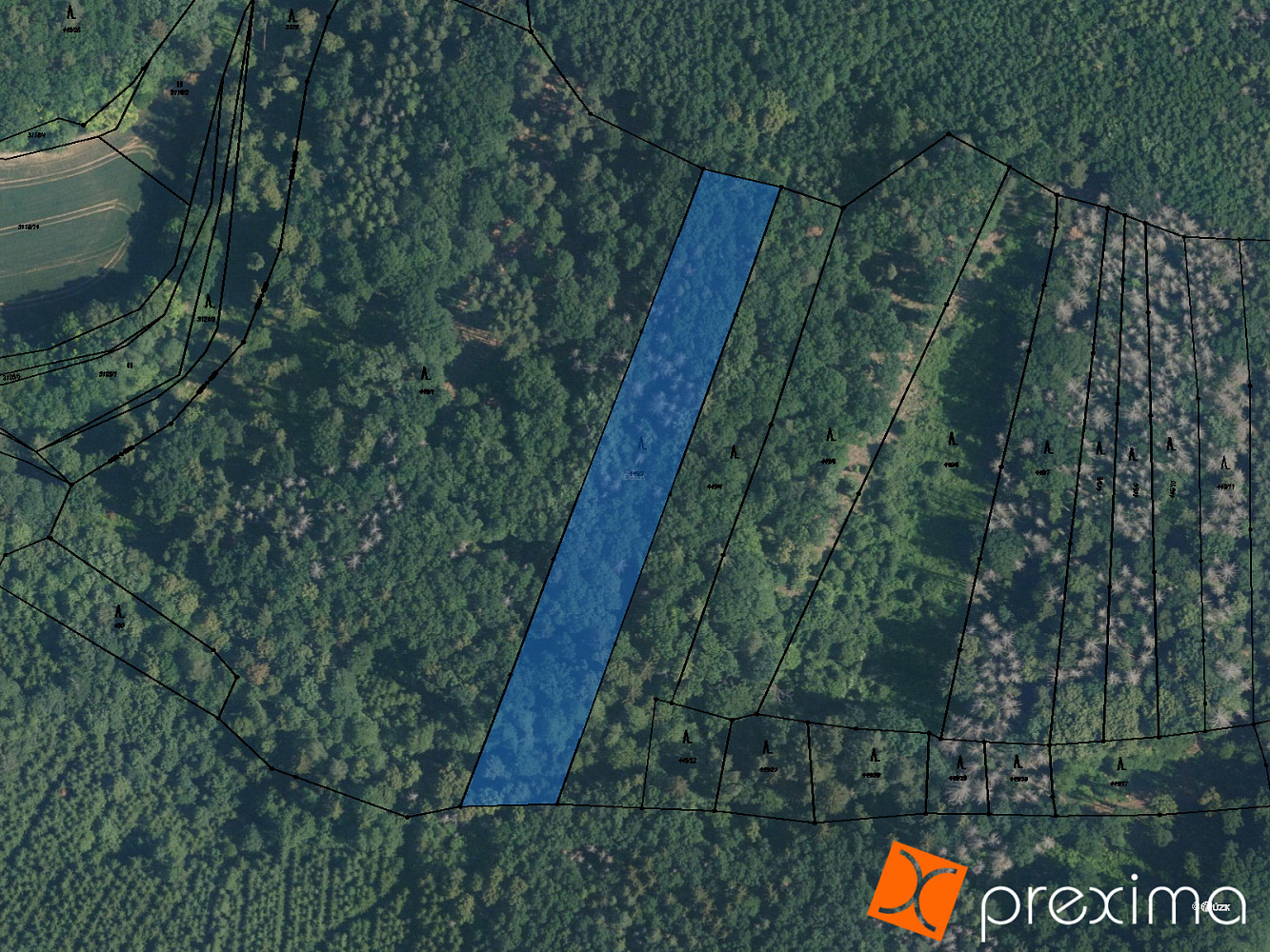 Prodej lesa 1 541 m²