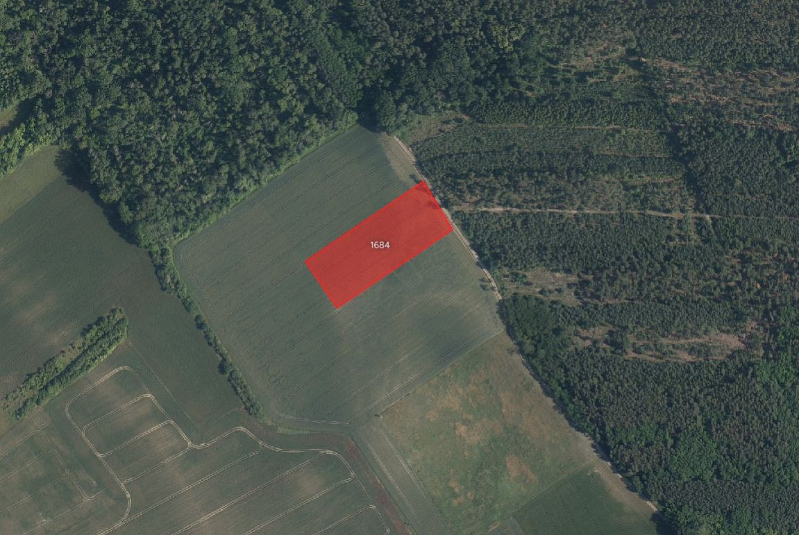 Prodej pole 4 617 m² – fotografie 2