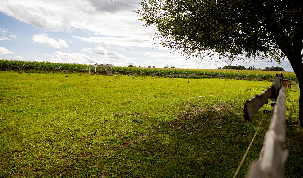 Prodej domu 60 m² s pozemkem 13 269 m², Litíč – náhled fotky 7