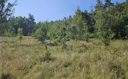 Prodej zahrady 4 432 m², Včelná, okres České Budějovice