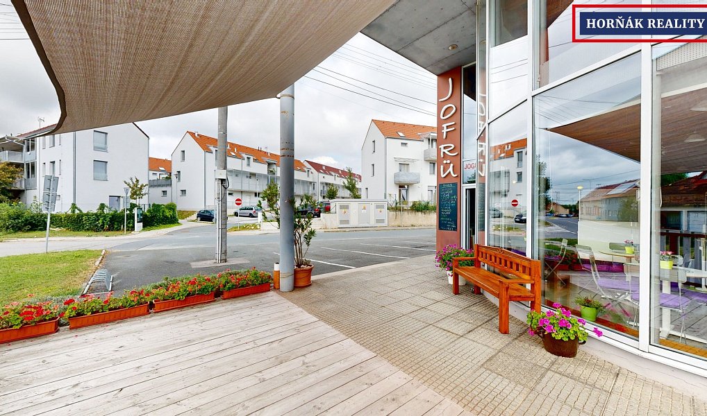 Prodej domu 900 m² s pozemkem 503 m², Bučovice – náhled fotky 14