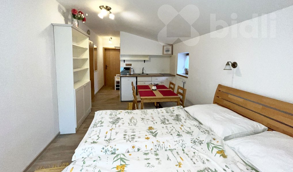 Pronájem bytu 1+kk 25 m², Trhové Sviny – náhled fotky 5