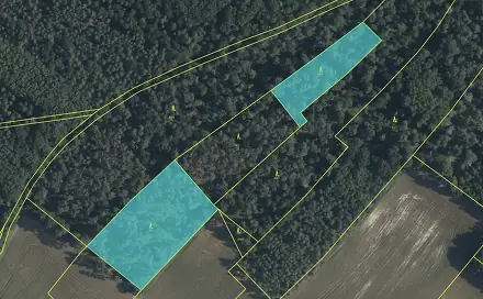 Prodej lesa 7 719 m², Sudovo Hlavno, okres Praha-východ
