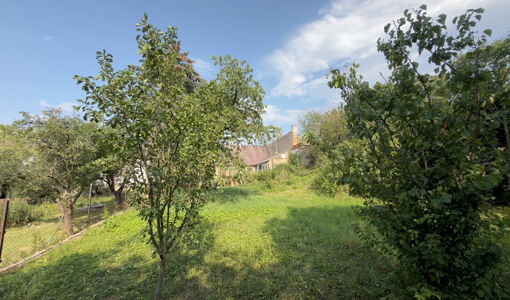 Prodej domu 60 m² s pozemkem 723 m², Tachlovice – náhled fotky 8