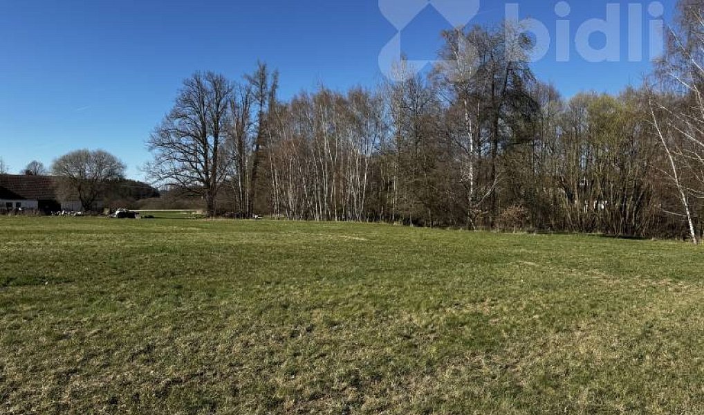 Prodej stavebního pozemku 3 293 m², Horní Stropnice – náhled fotky 5