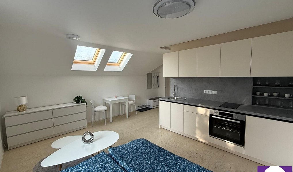 Prodej bytu 1+kk 25 m², Horní Planá – náhled fotky 3