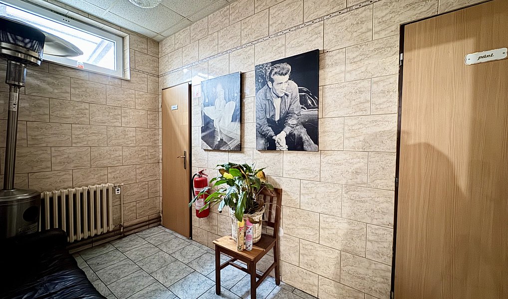 Pronájem obchodních prostor 166 m², Sokolov – náhled fotky 16