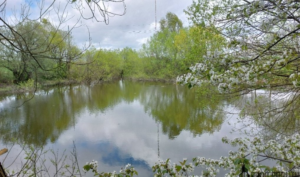 Prodej pozemku 12 045 m², Krásensko – náhled fotky 8