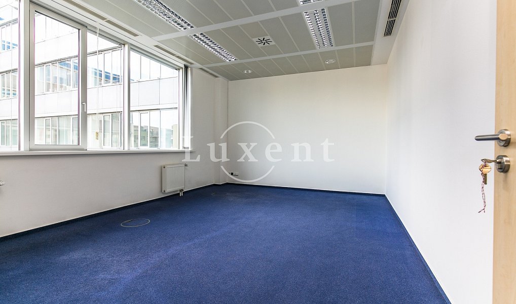 Pronájem kanceláře 393 m², Praha – náhled fotky 6