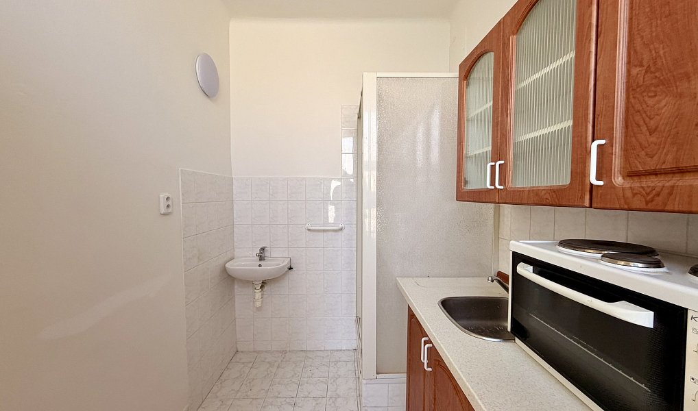 Pronájem bytu 1+1 34 m², Plzeň – náhled fotky 8
