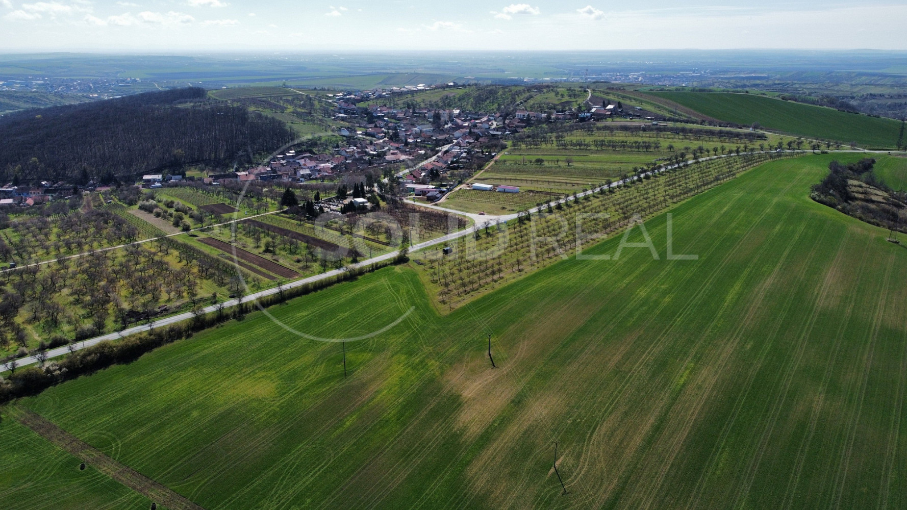 Prodej pole 24 643 m² – fotografie 4