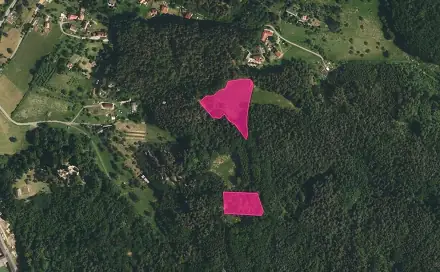 Prodej louky 10 524 m², Boseň, okres Mladá Boleslav