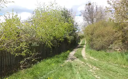 Prodej pozemku 3 225 m², Vítkov, okres Opava