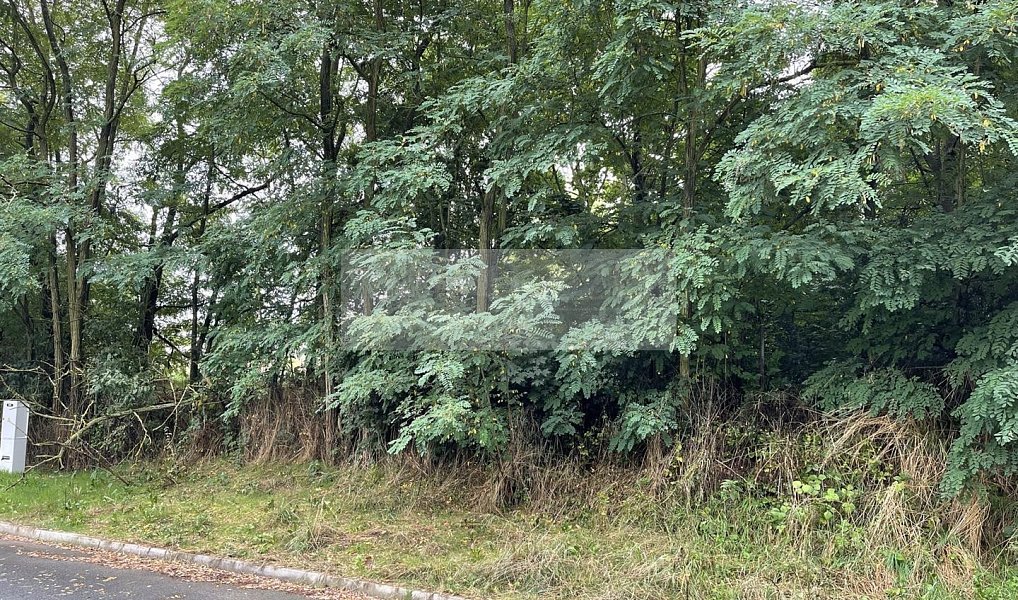 Prodej stavebního pozemku 588 m², Mladá Boleslav – náhled fotky 7