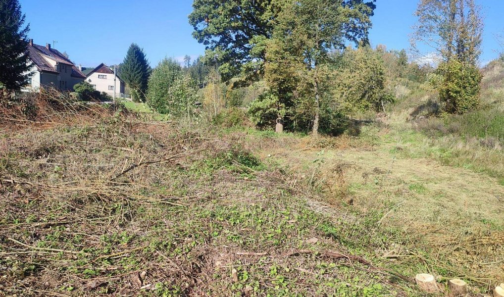 Prodej zahrady 2 666 m², Staré Buky – náhled fotky 4