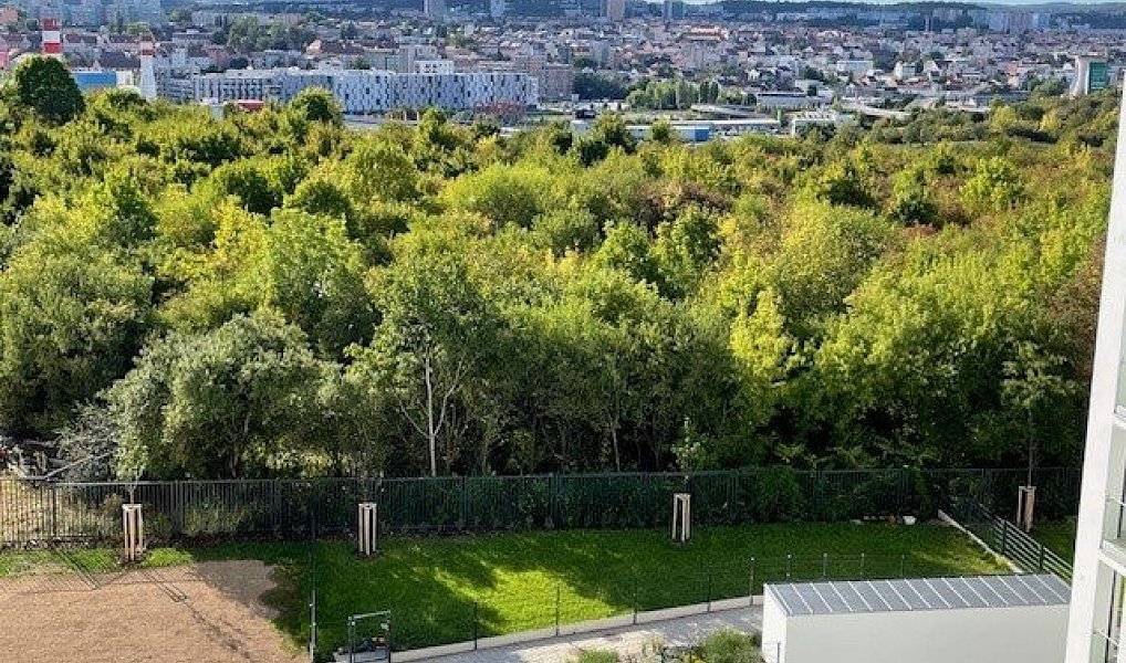 Pronájem kanceláře 50 m², Brno – náhled fotky 12
